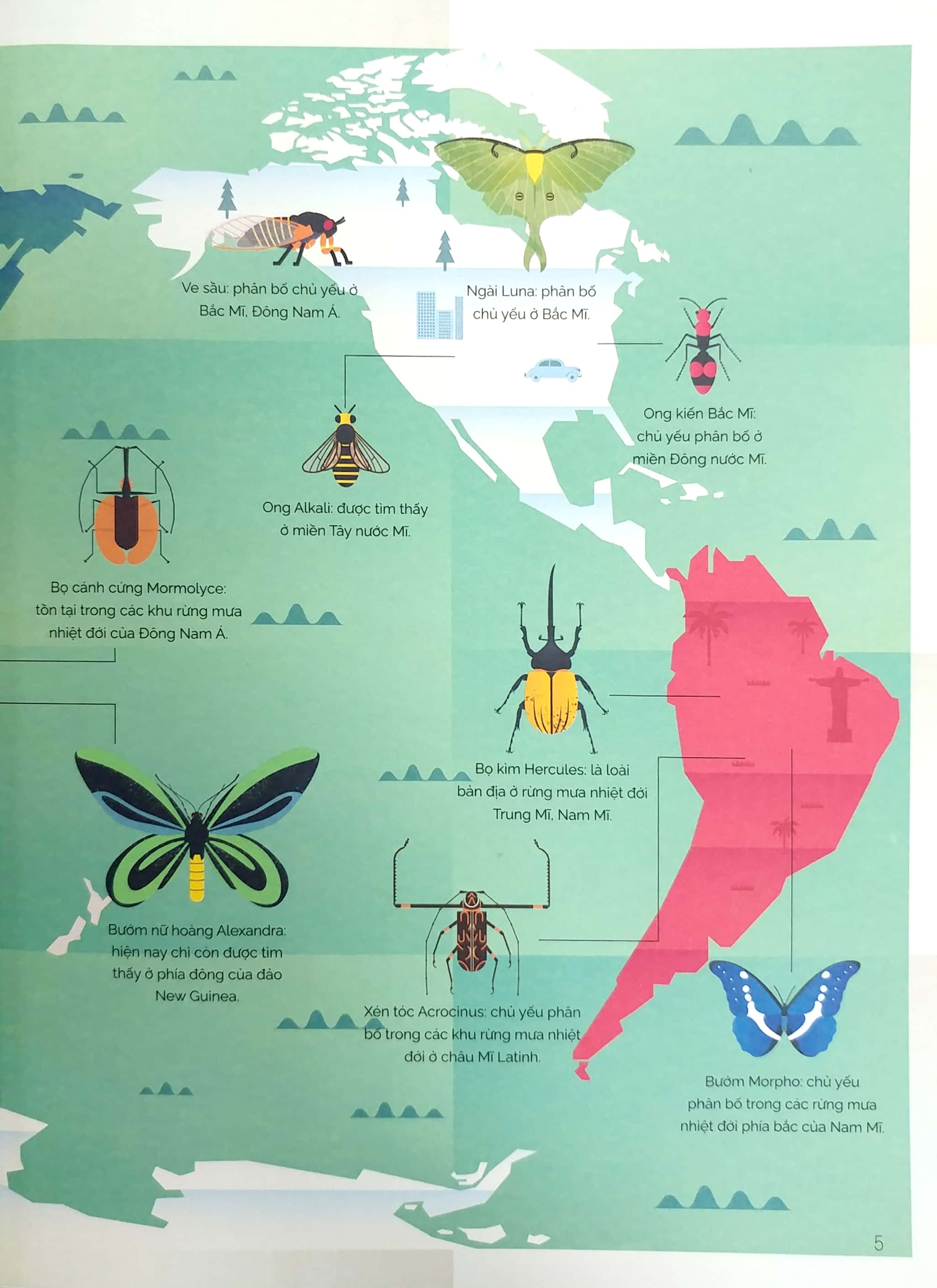 tung cánh trong không trung - cất cánh cùng côn trùng - Ảnh 5