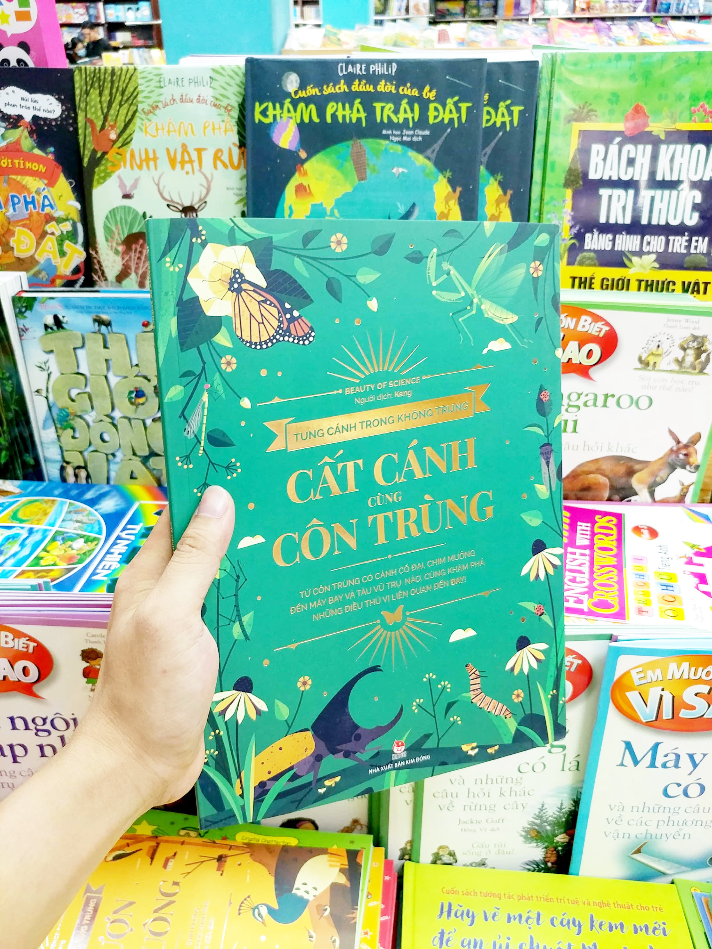 tung cánh trong không trung - cất cánh cùng côn trùng - Ảnh 7