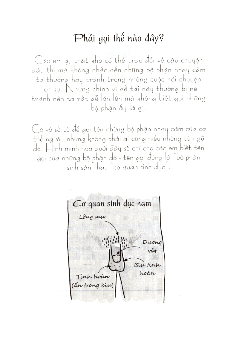 tuổi dậy thì - từ “cậu bé” đến “anh chàng - Ảnh 9