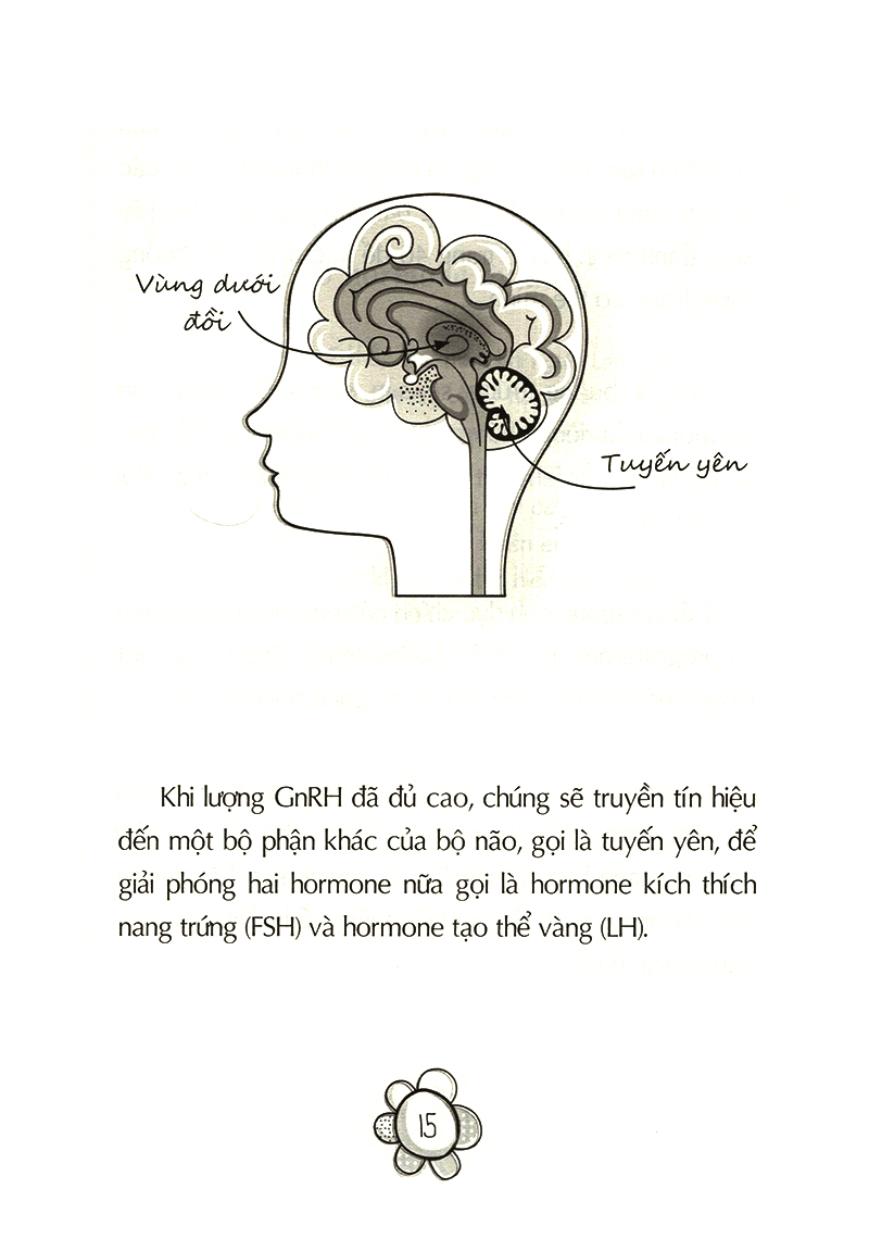 tuổi dậy thì - từ “cô bé" đến "cô nàng" - Ảnh 12