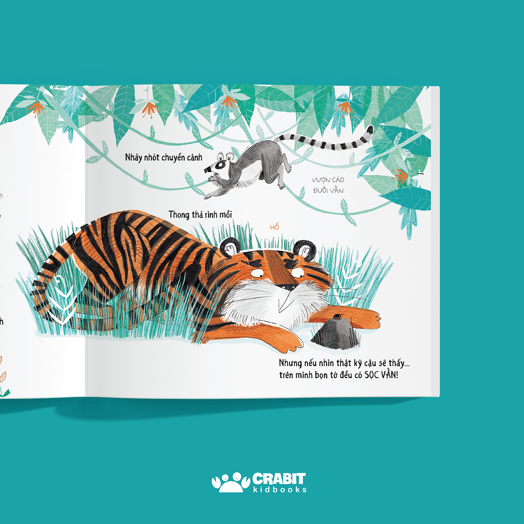 tưởng khác mà giống - Ảnh 3