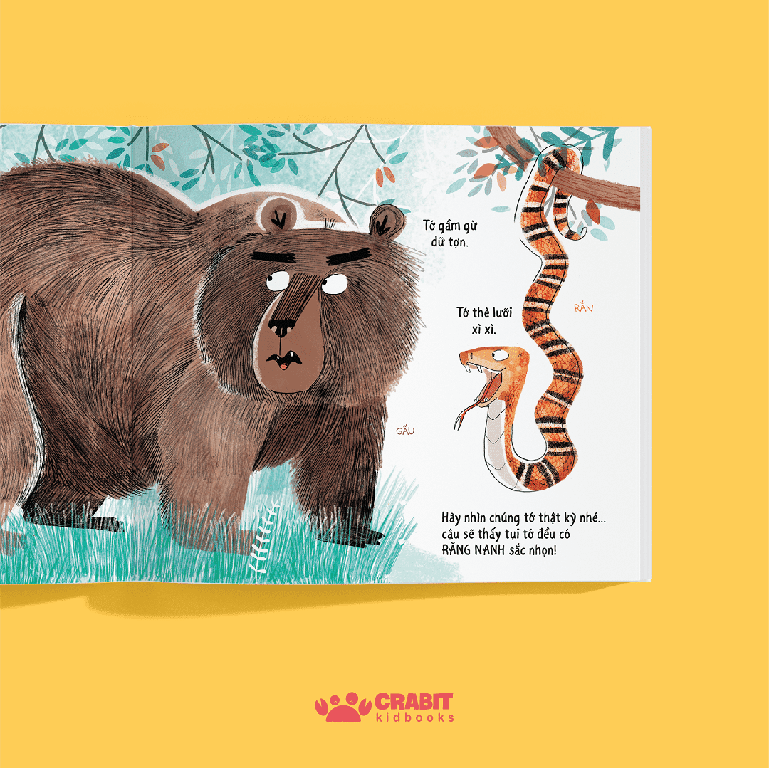 tưởng khác mà giống - Ảnh 5