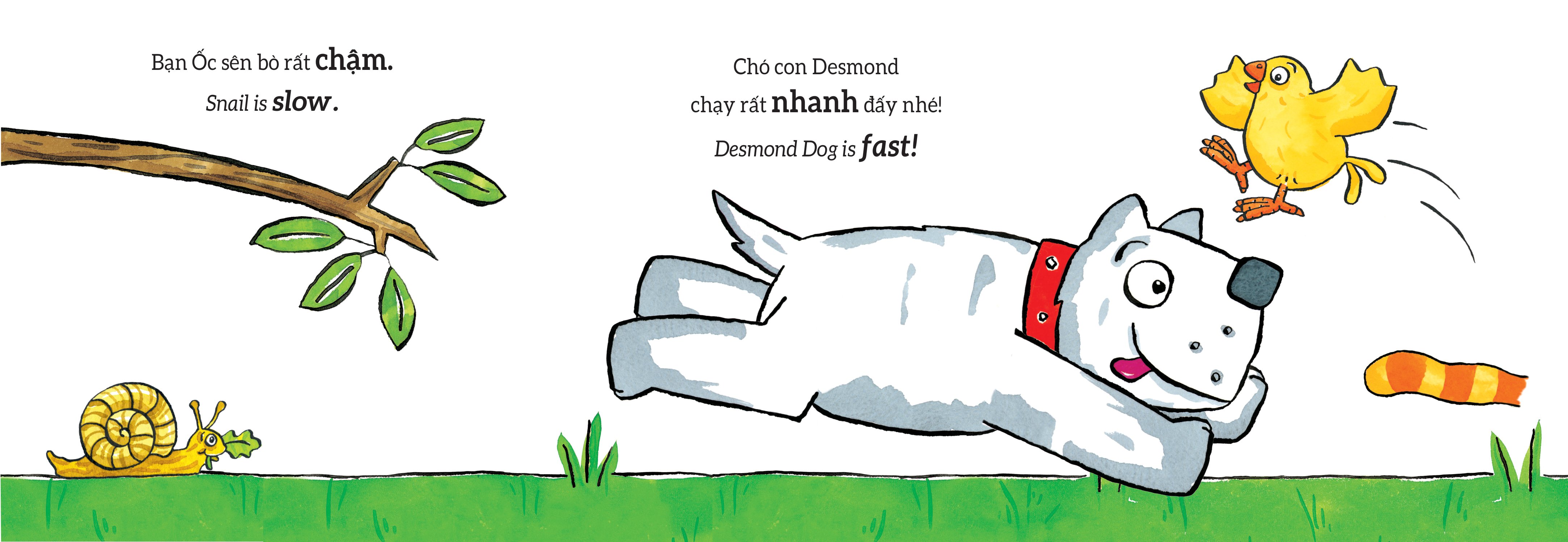 tương tác lật mở - các từ trái nghĩa - opposites - Ảnh 6