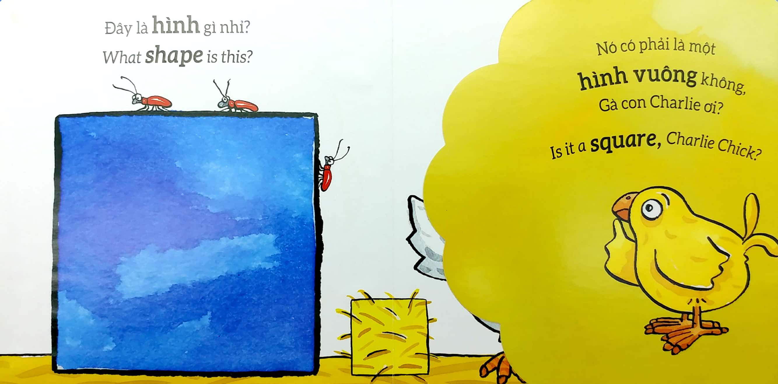 tương tác lật mở - hình dạng - shapes - Ảnh 3