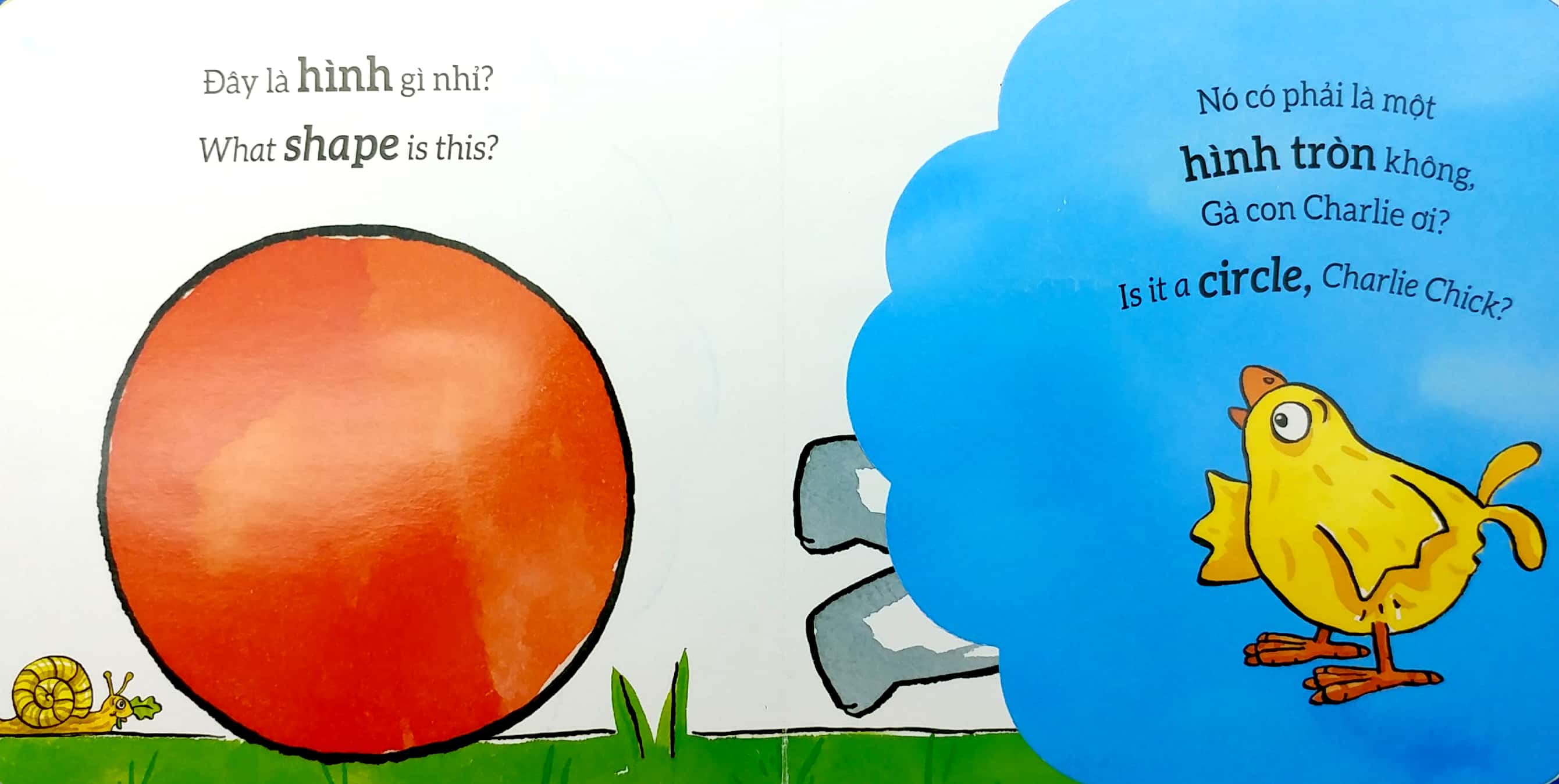 tương tác lật mở - hình dạng - shapes - Ảnh 4