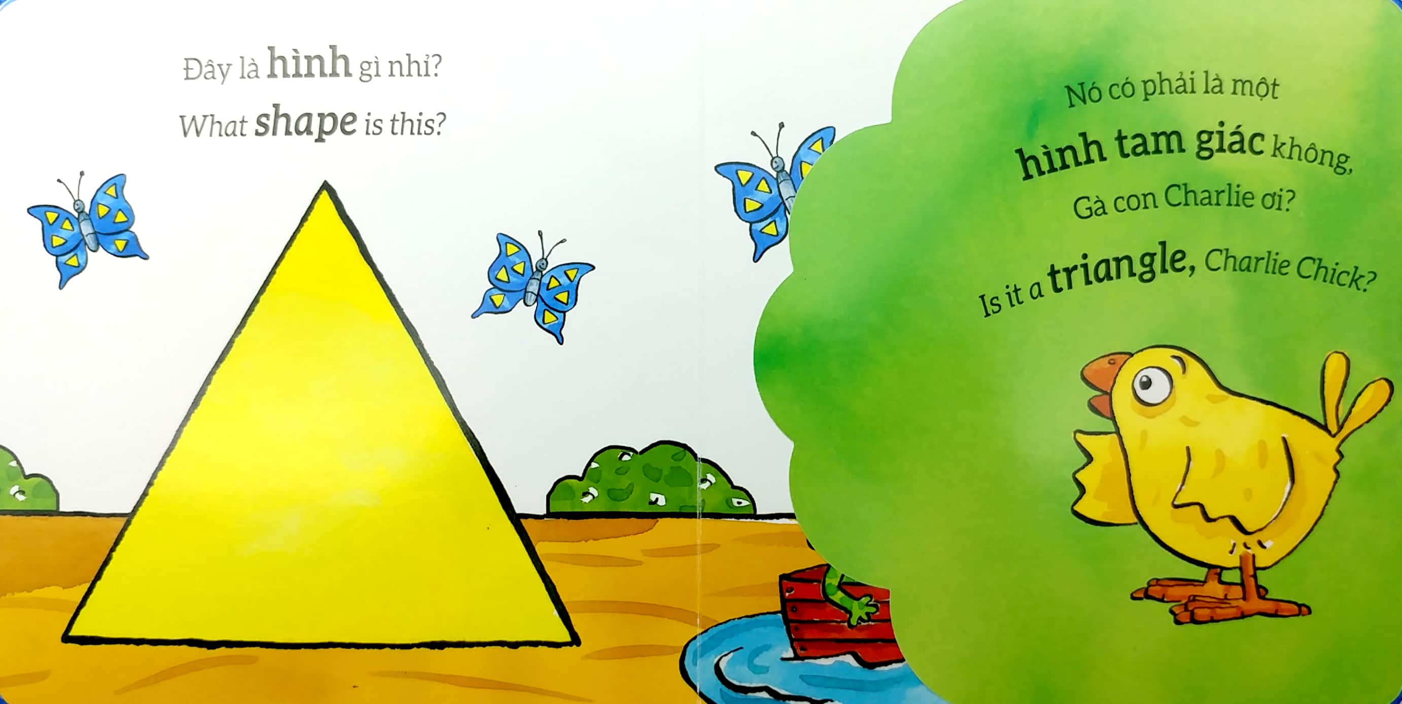 tương tác lật mở - hình dạng - shapes - Ảnh 5