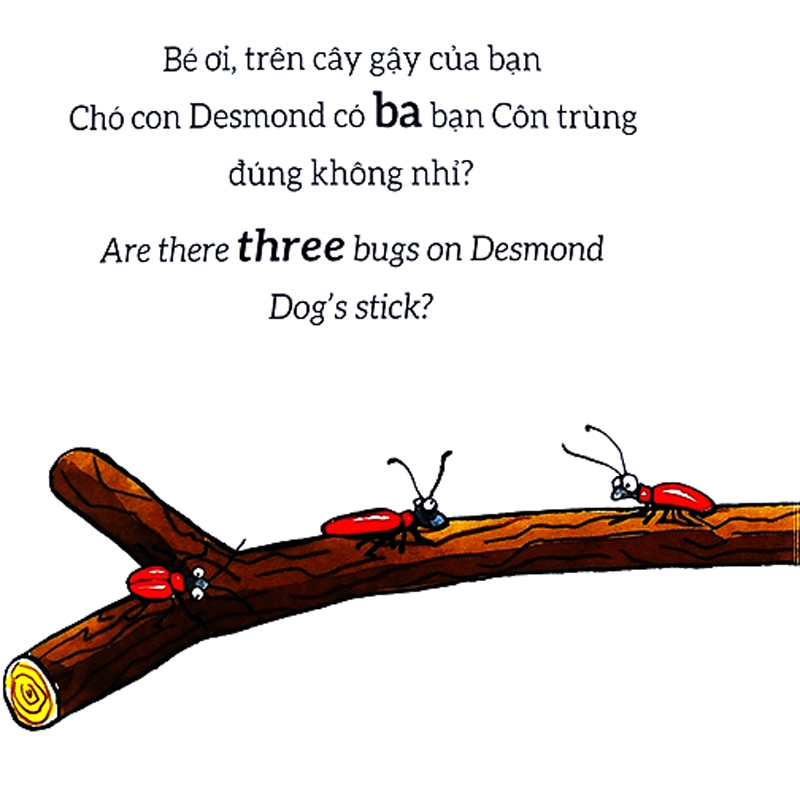 tương tác lật mở - số đếm - counting - Ảnh 4