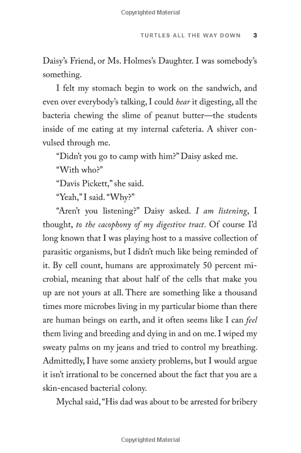 turtles all the way down paperback - Ảnh 4