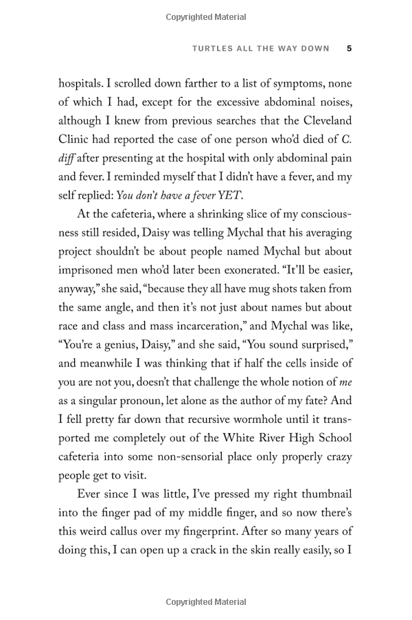 turtles all the way down paperback - Ảnh 6