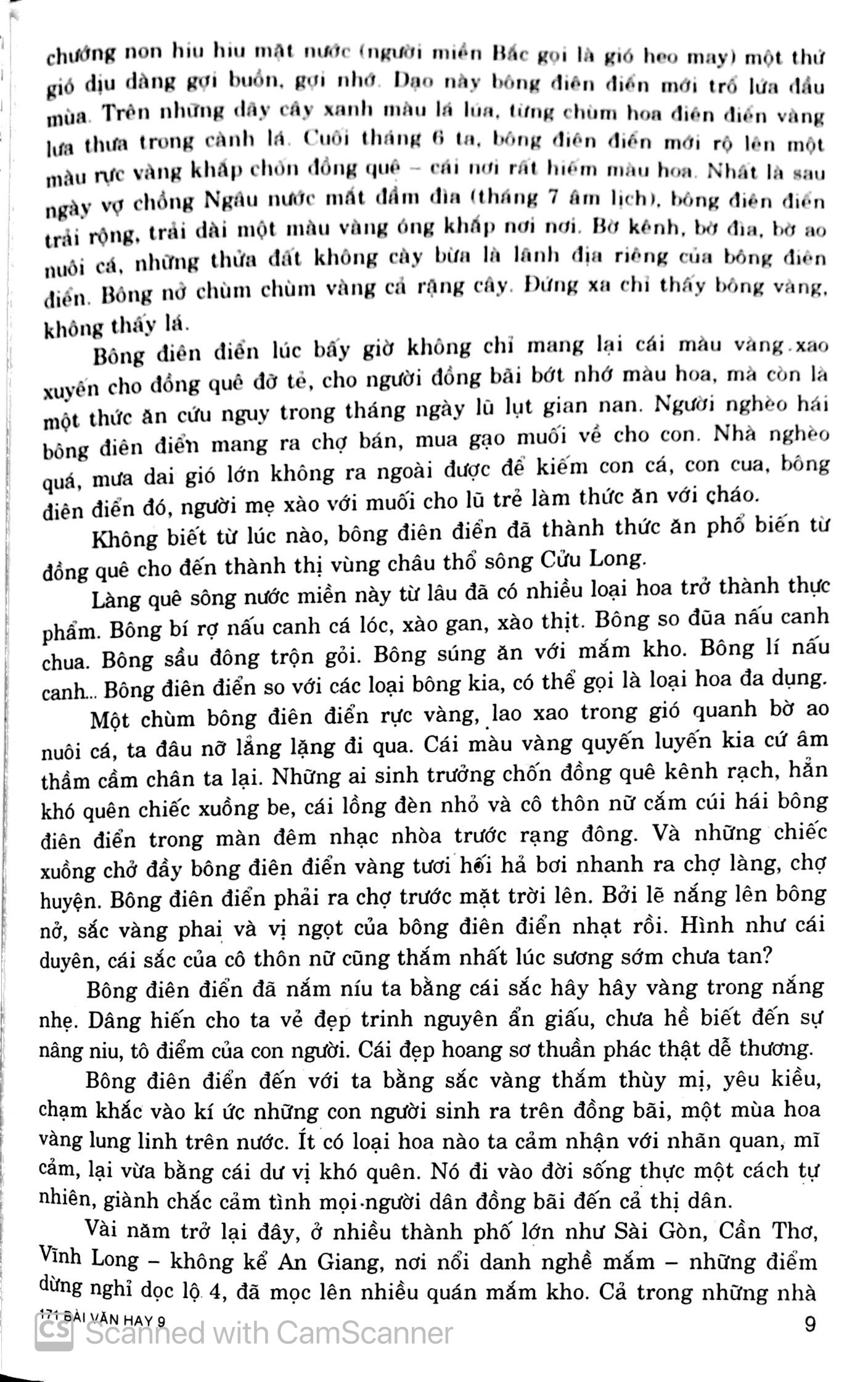 tuyển chọn 171 bài văn hay lớp 9 - Ảnh 10