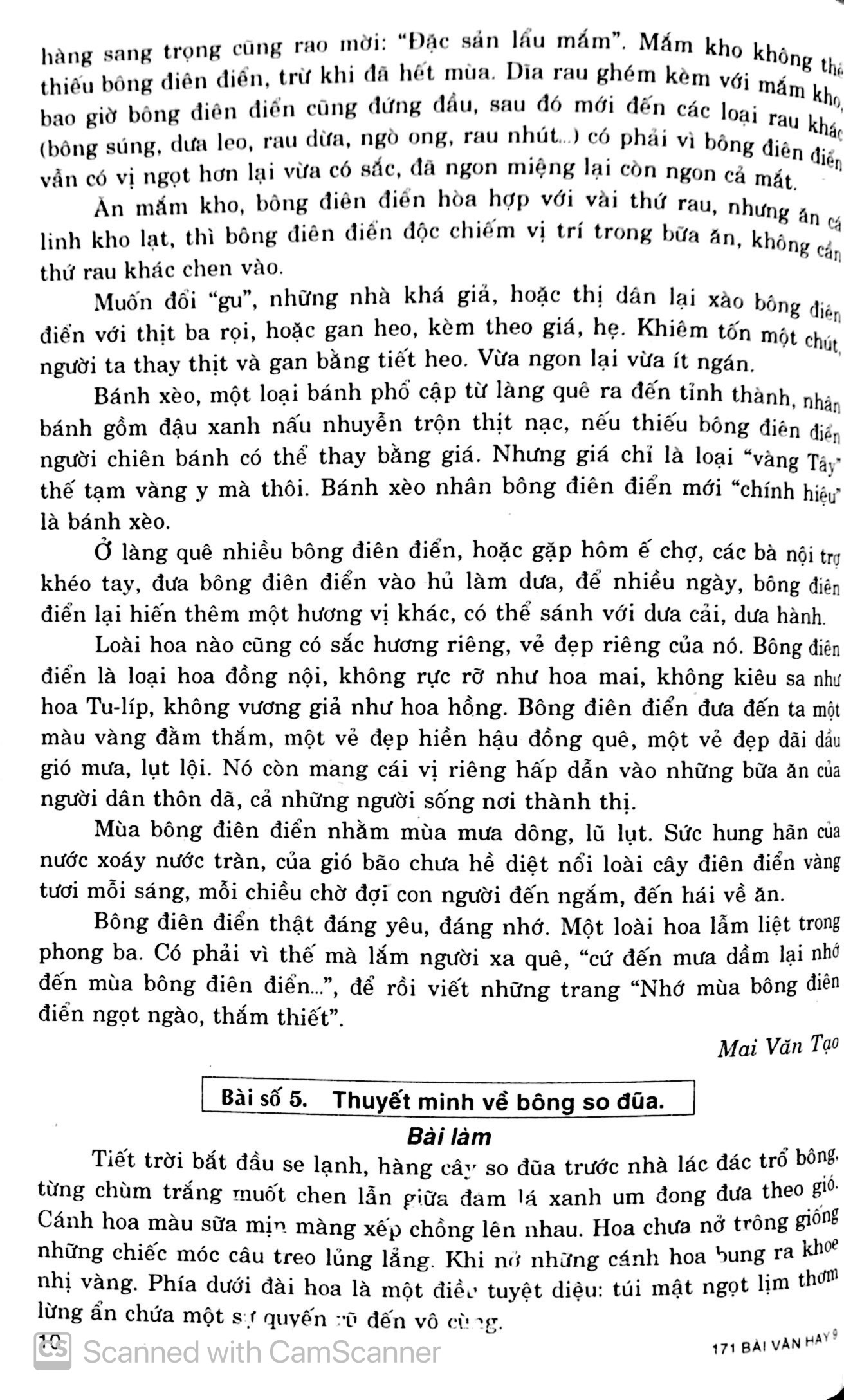 tuyển chọn 171 bài văn hay lớp 9 - Ảnh 11