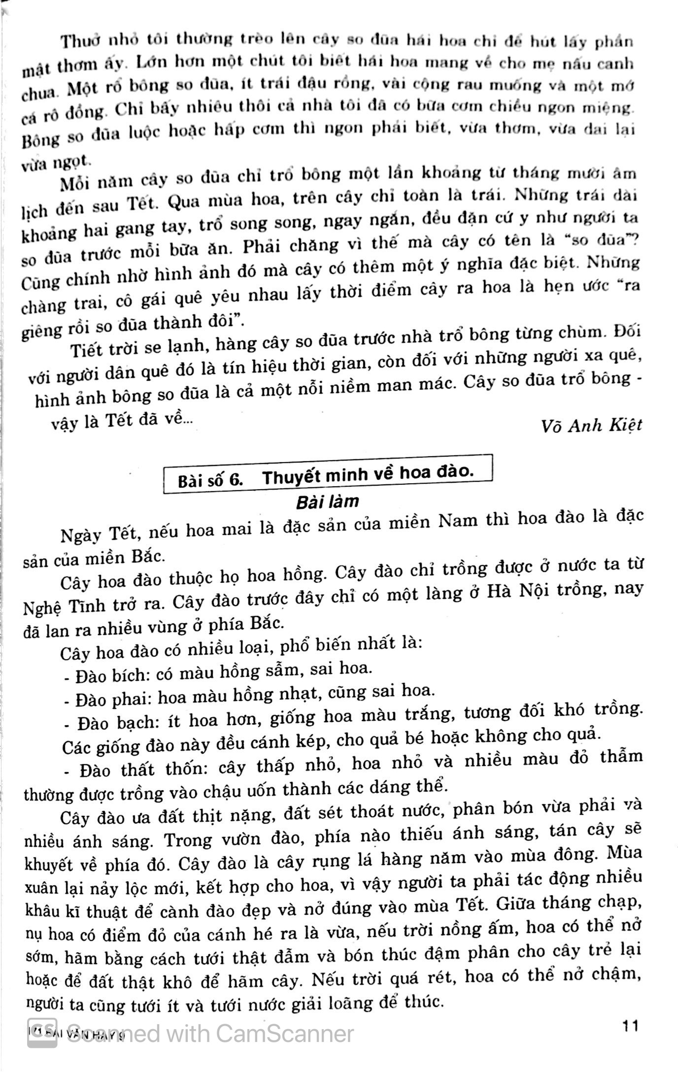 tuyển chọn 171 bài văn hay lớp 9 - Ảnh 12