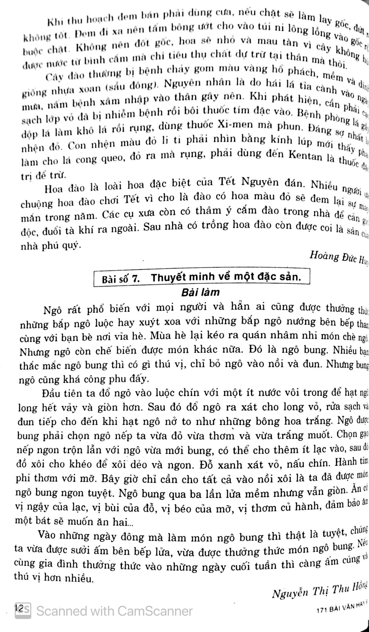 tuyển chọn 171 bài văn hay lớp 9 - Ảnh 13