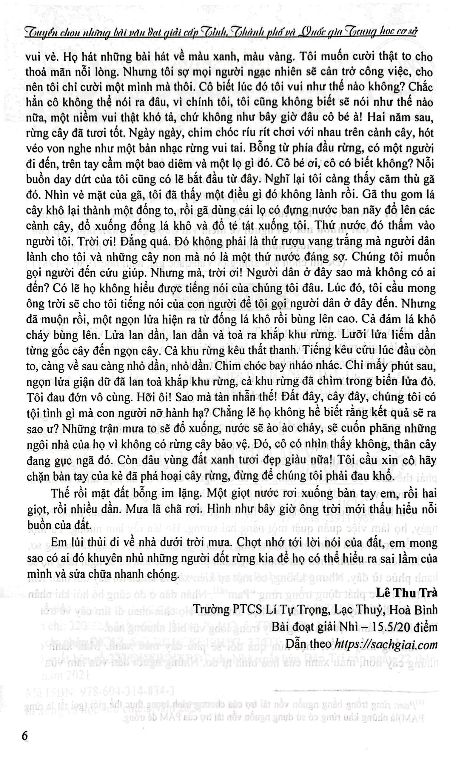 tuyển chọn những bài văn đạt giải cấp tỉnh, thành phố và quốc gia trung học cơ sở - Ảnh 4