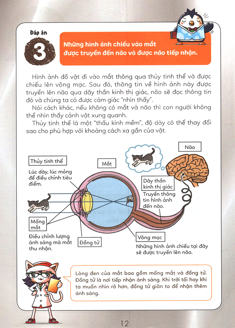 tuyển tập câu hỏi của học sinh tiểu học - về khoa học (tái bản 2019) - Ảnh 19