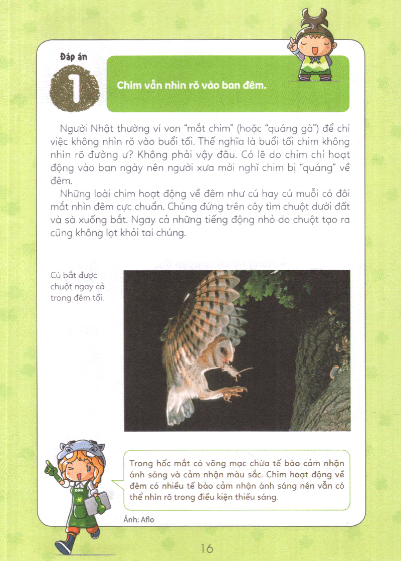 tuyển tập câu hỏi của học sinh tiểu học - về sinh vật (tái bản 2019) - Ảnh 14