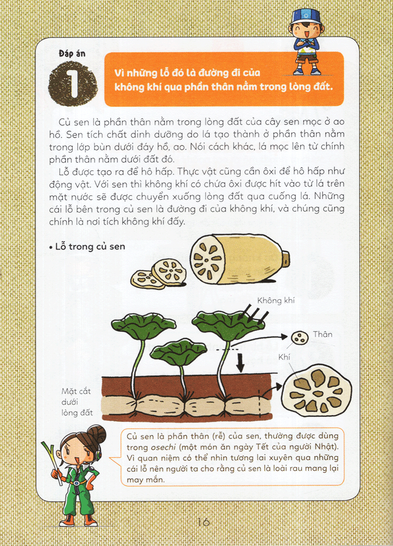 tuyển tập câu hỏi của học sinh tiểu học - về sự vật xung quanh (tái bản 2019) - Ảnh 14