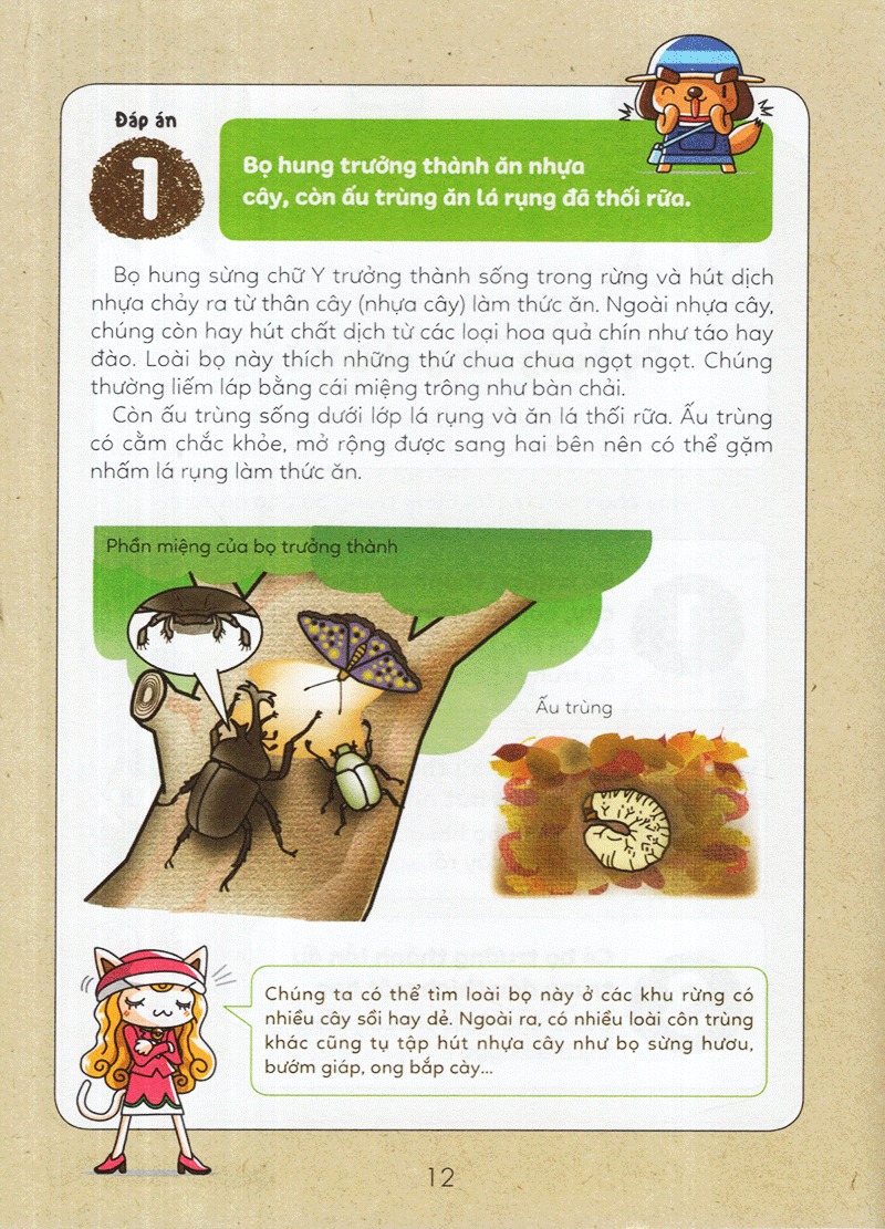 Tuyển Tập Câu Hỏi Của Học Sinh Tiểu Học - Về Thắc Mắc Thường Gặp (Tái Bản 2025) - Ảnh 10