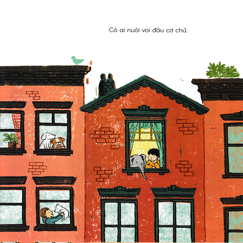 tuyệt đối cấm voi - Ảnh 5