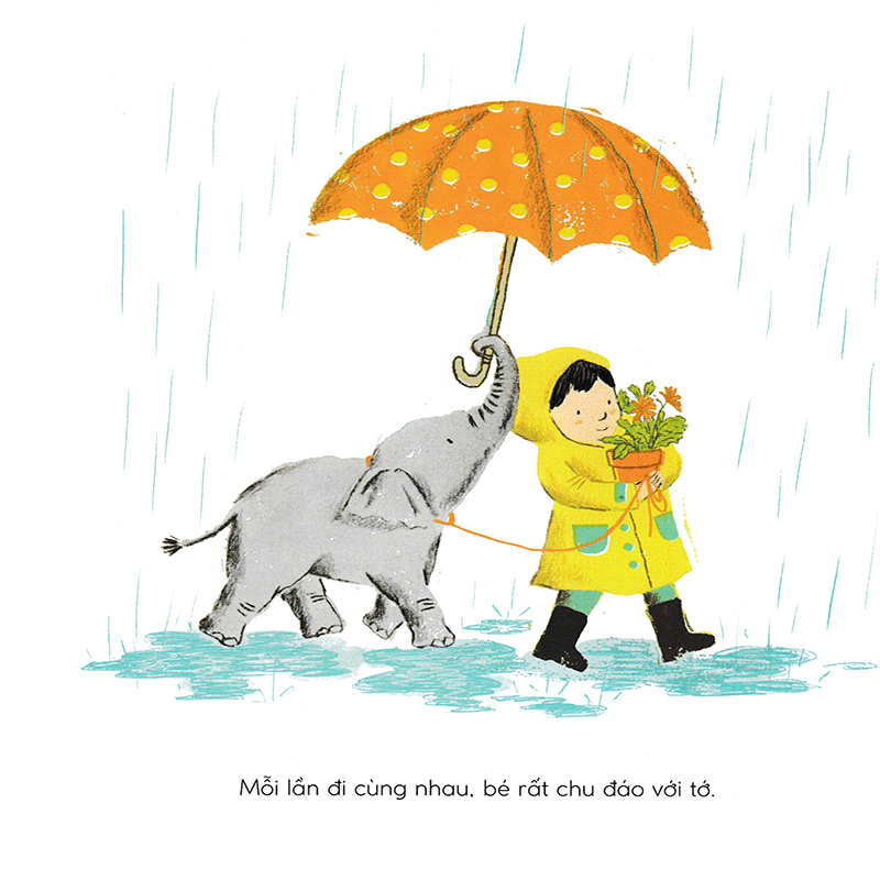 tuyệt đối cấm voi - Ảnh 7