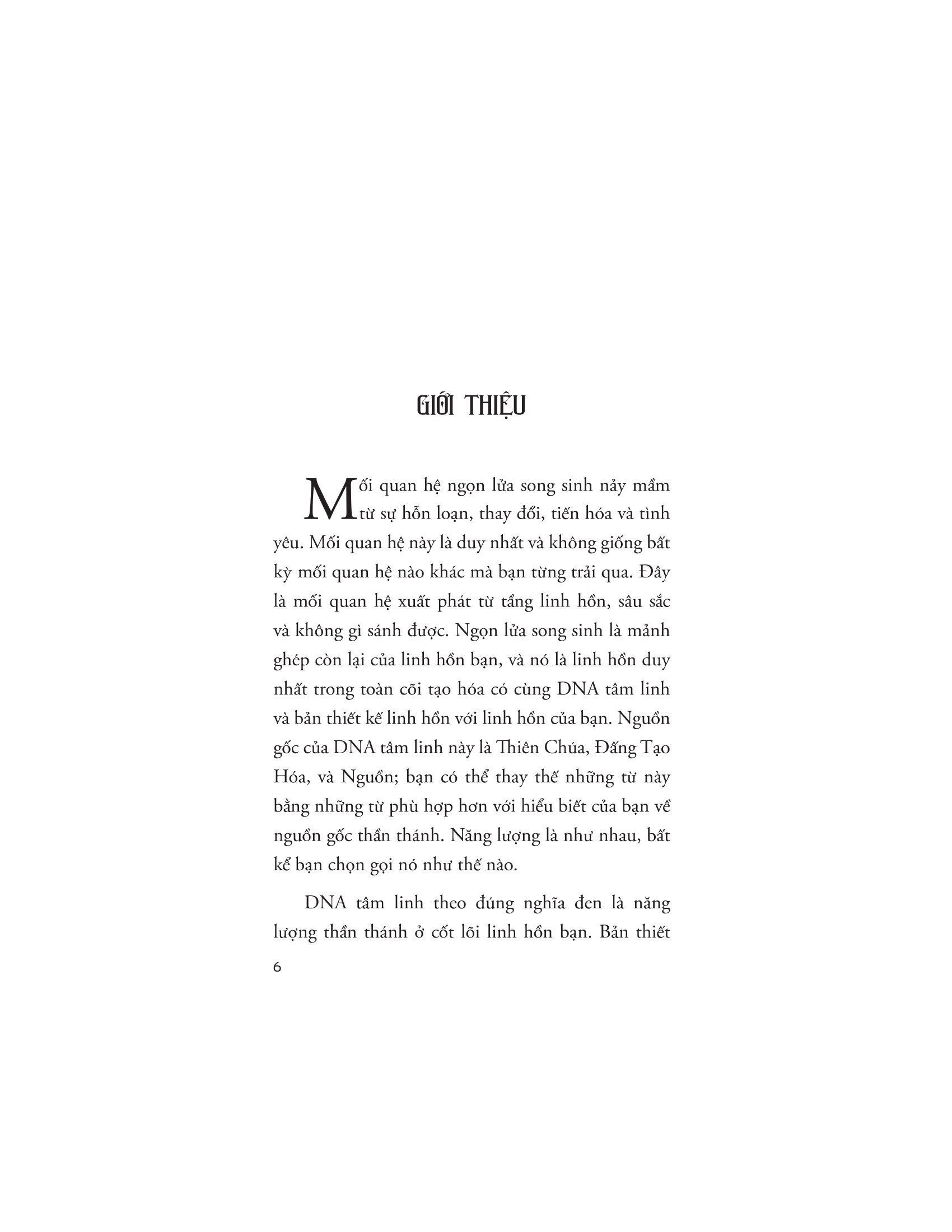 twin flame - Ảnh 5