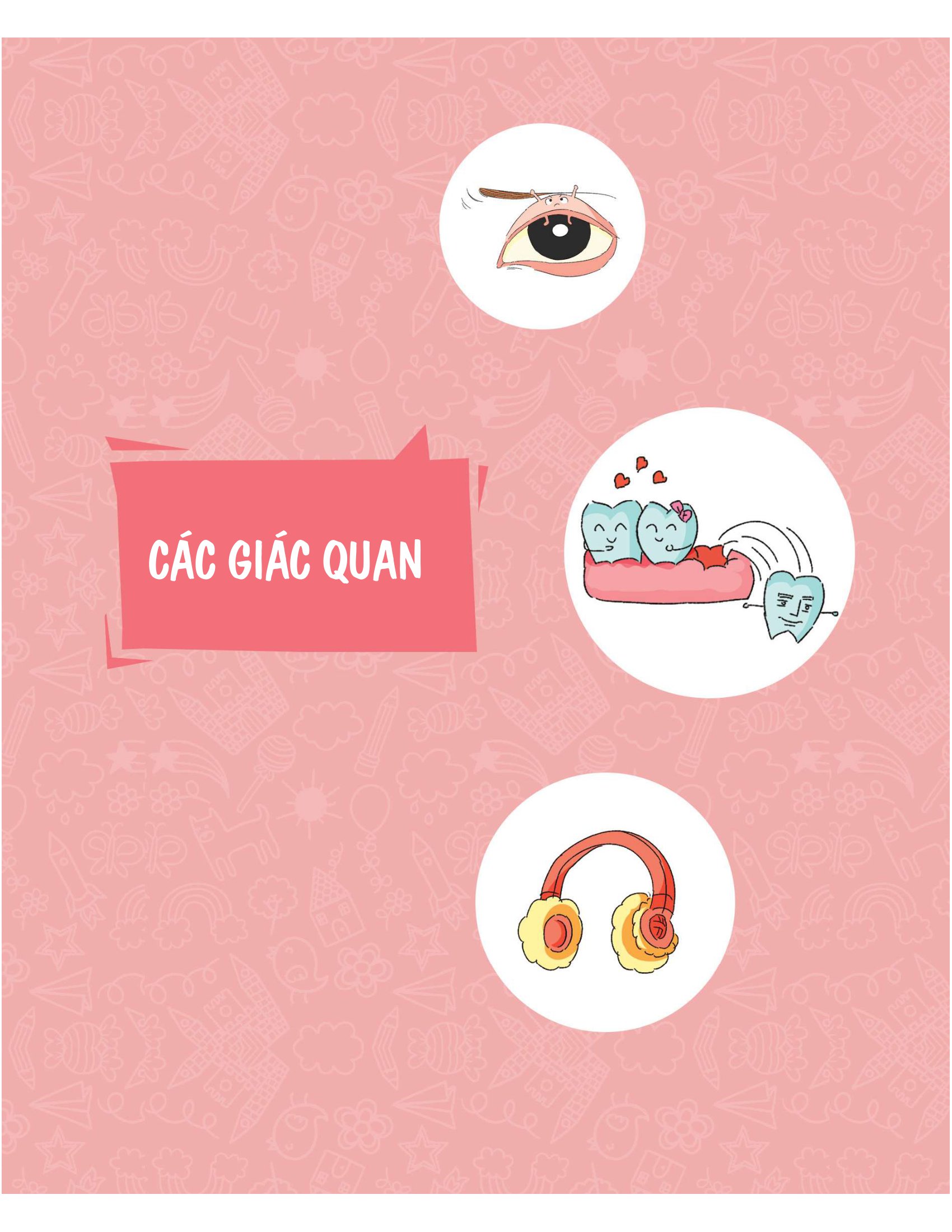 úm ba la hóa ra thần đồng - bí mật cơ thể người (6-12 tuổi) - Ảnh 8