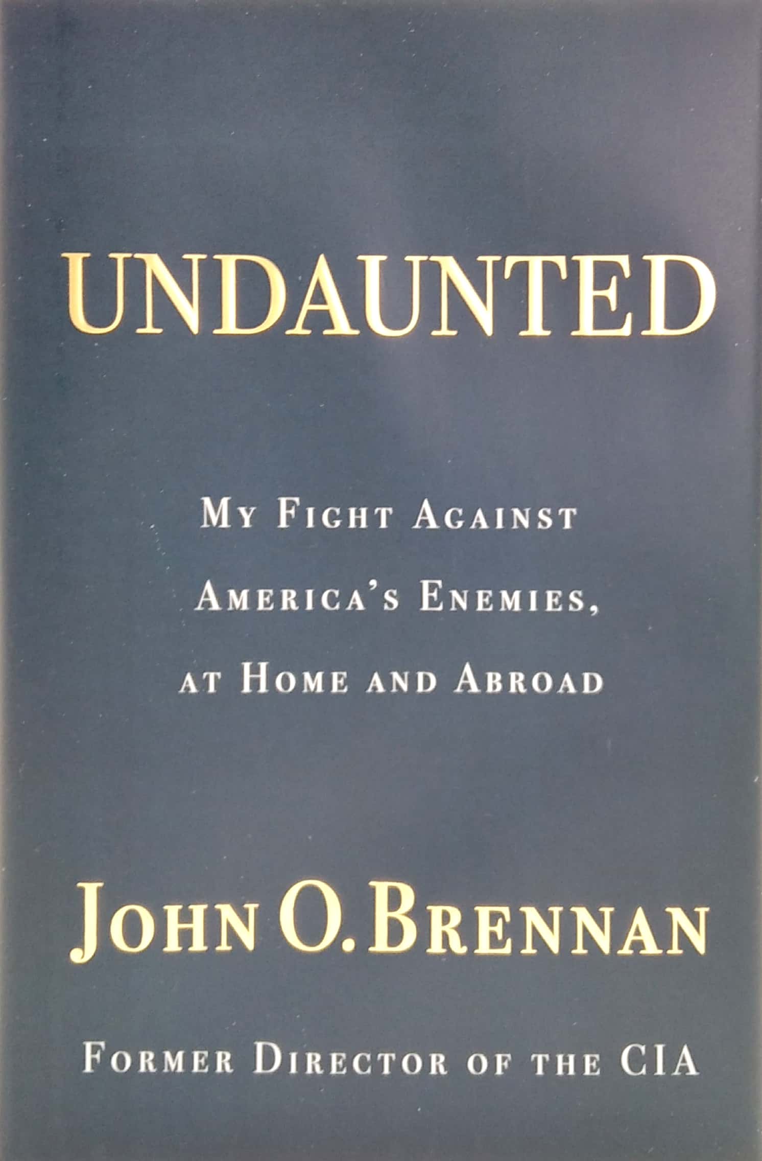 undaunted: my fight against america's enemies, at home and abroad - Ảnh 2