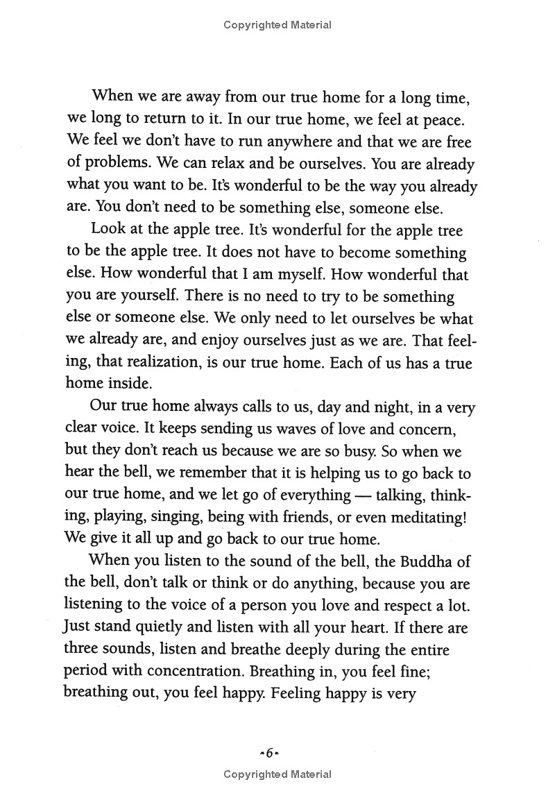 under the rose apple tree - Ảnh 10