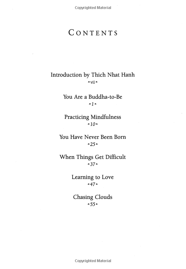 under the rose apple tree - Ảnh 4