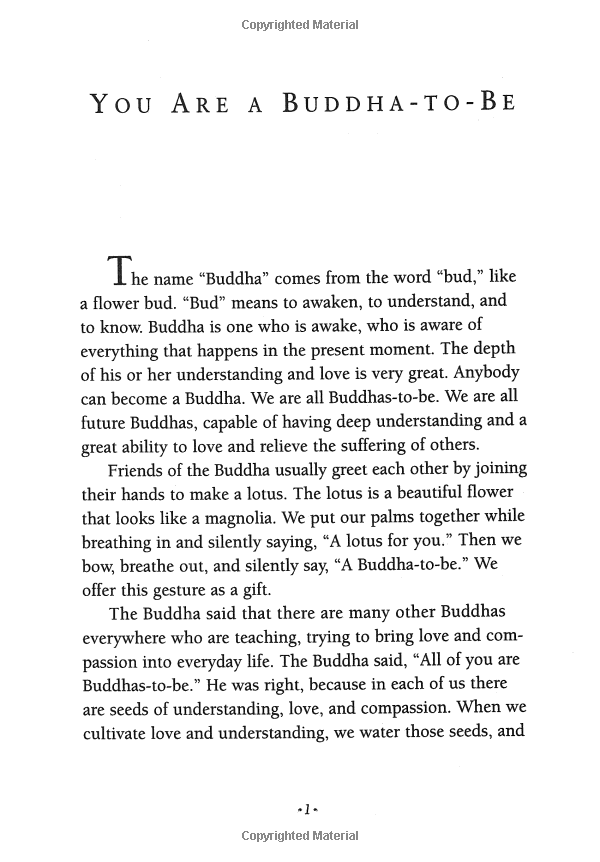 under the rose apple tree - Ảnh 5