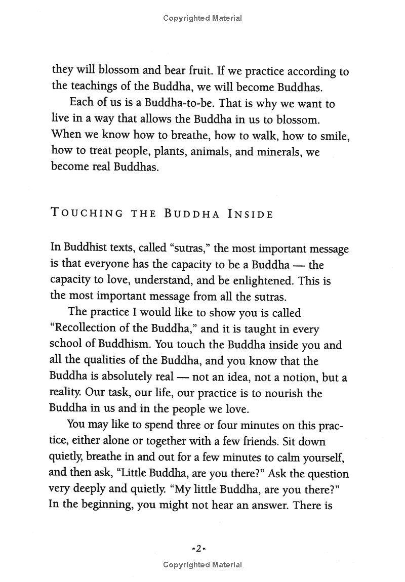 under the rose apple tree - Ảnh 6