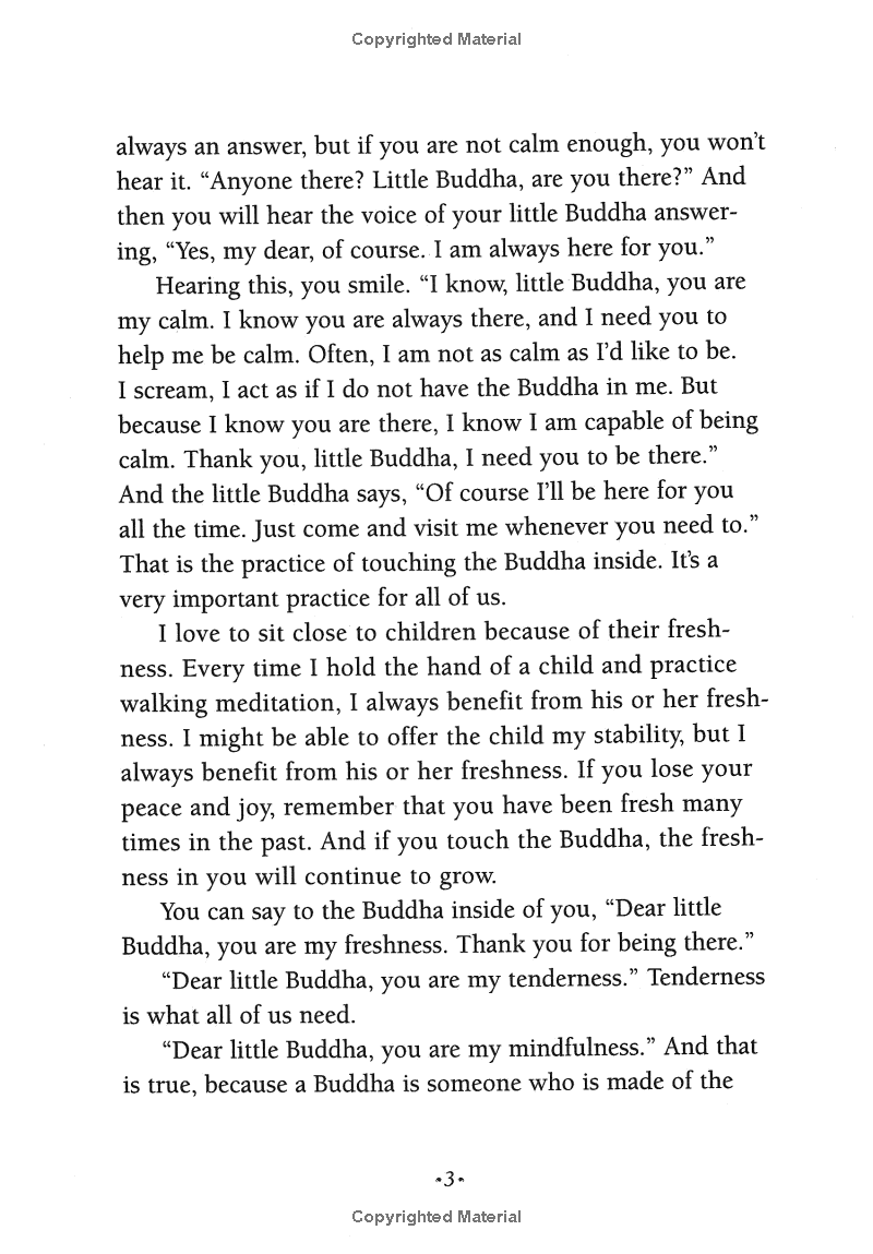 under the rose apple tree - Ảnh 7