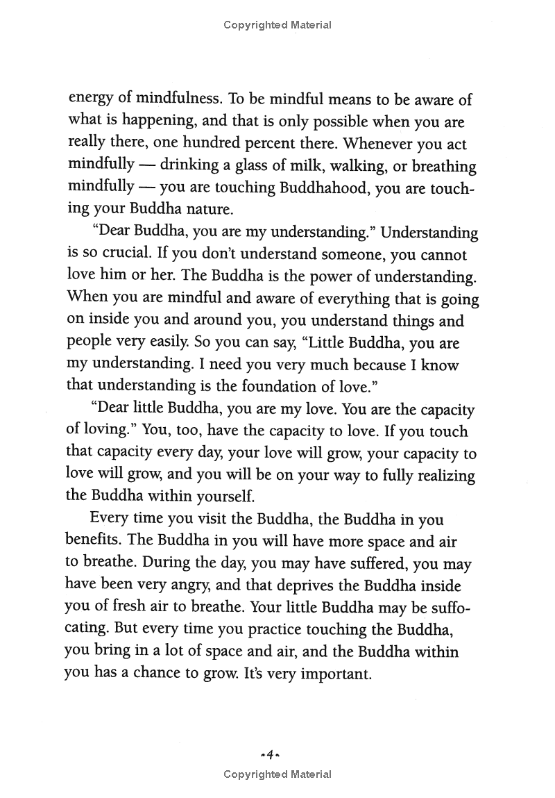 under the rose apple tree - Ảnh 8