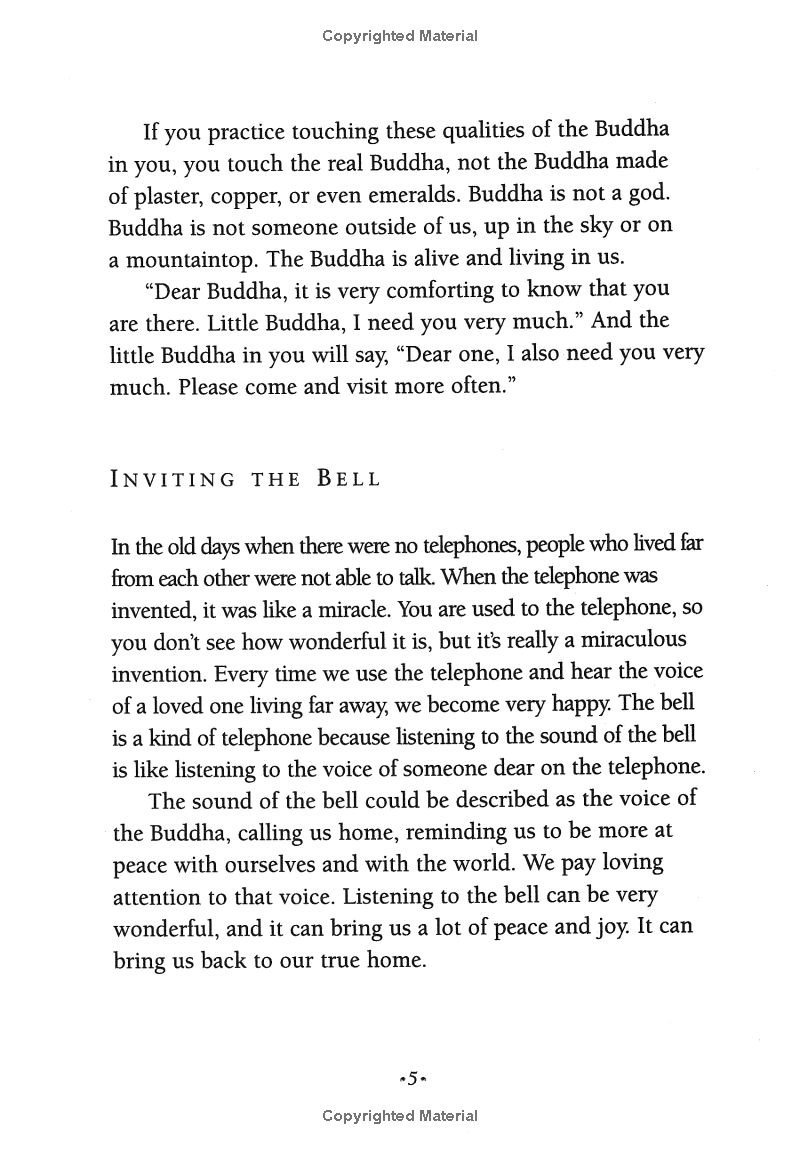 under the rose apple tree - Ảnh 9