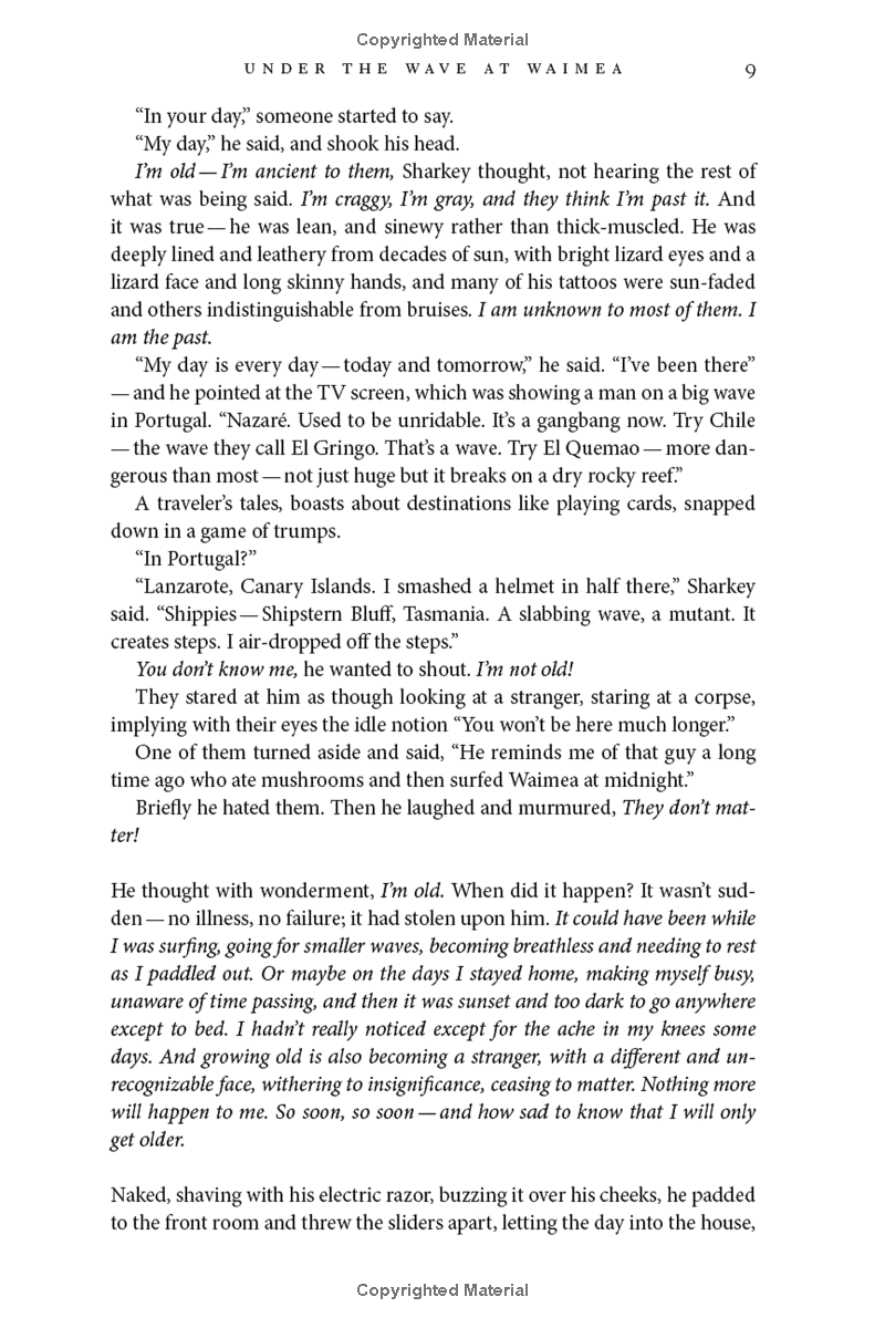 under the wave at waimea - Ảnh 11