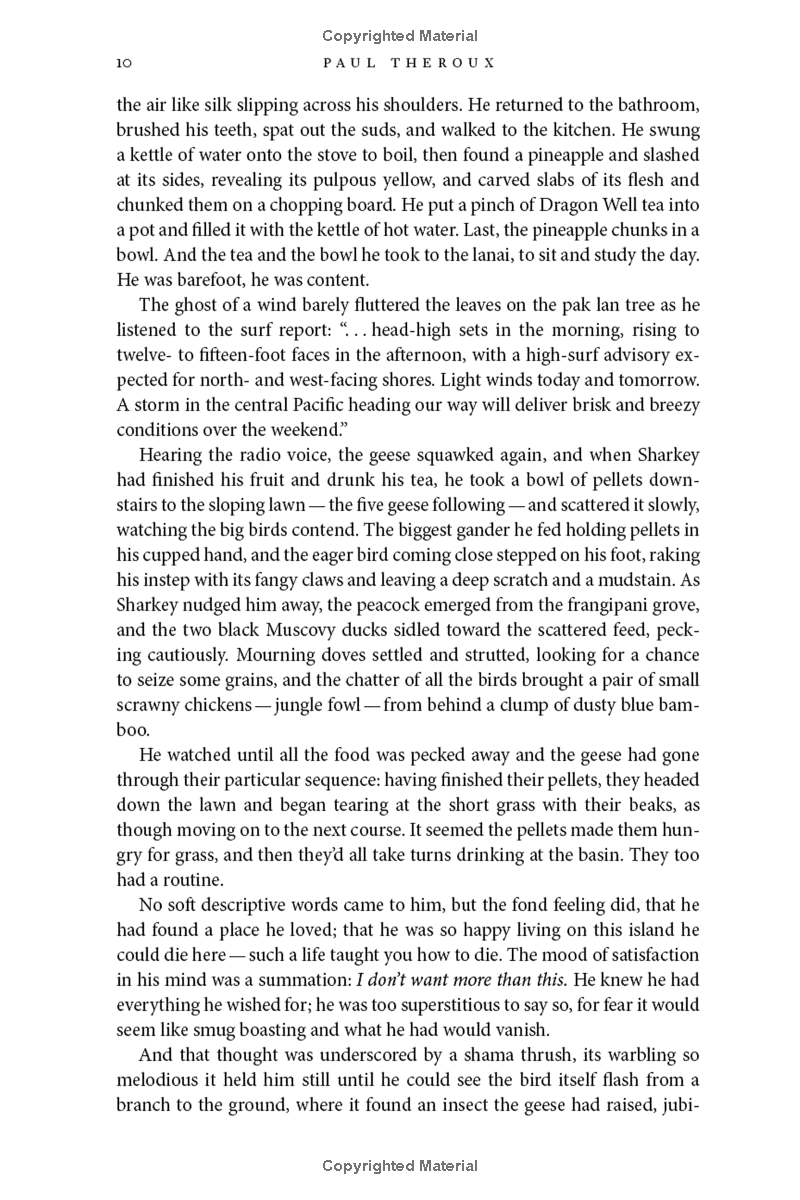 under the wave at waimea - Ảnh 12