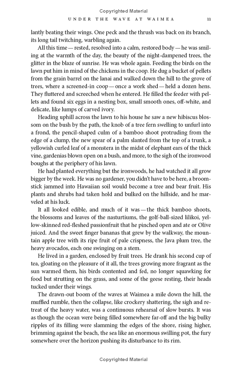 under the wave at waimea - Ảnh 13