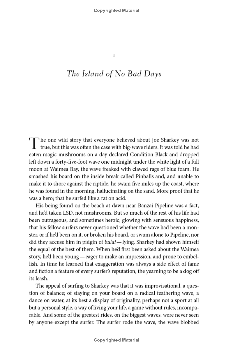 under the wave at waimea - Ảnh 5