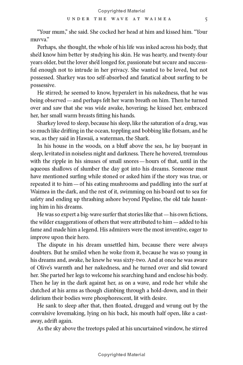 under the wave at waimea - Ảnh 7