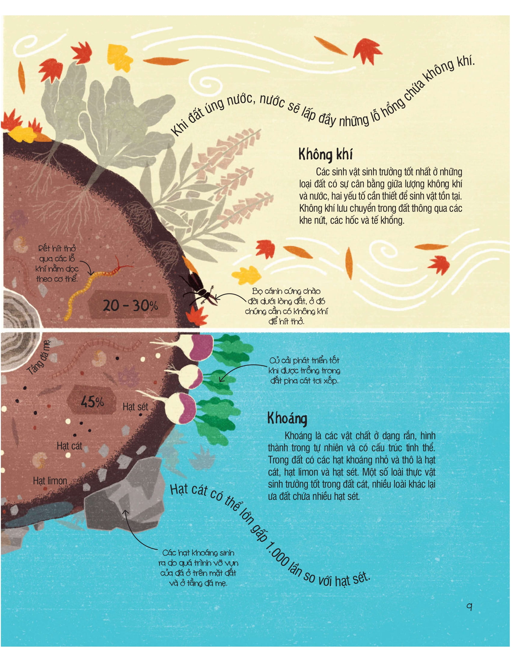 under your feet - dưới đôi bàn chân bạn - đất, cát và ti tỉ thứ dưới lòng đất - Ảnh 10