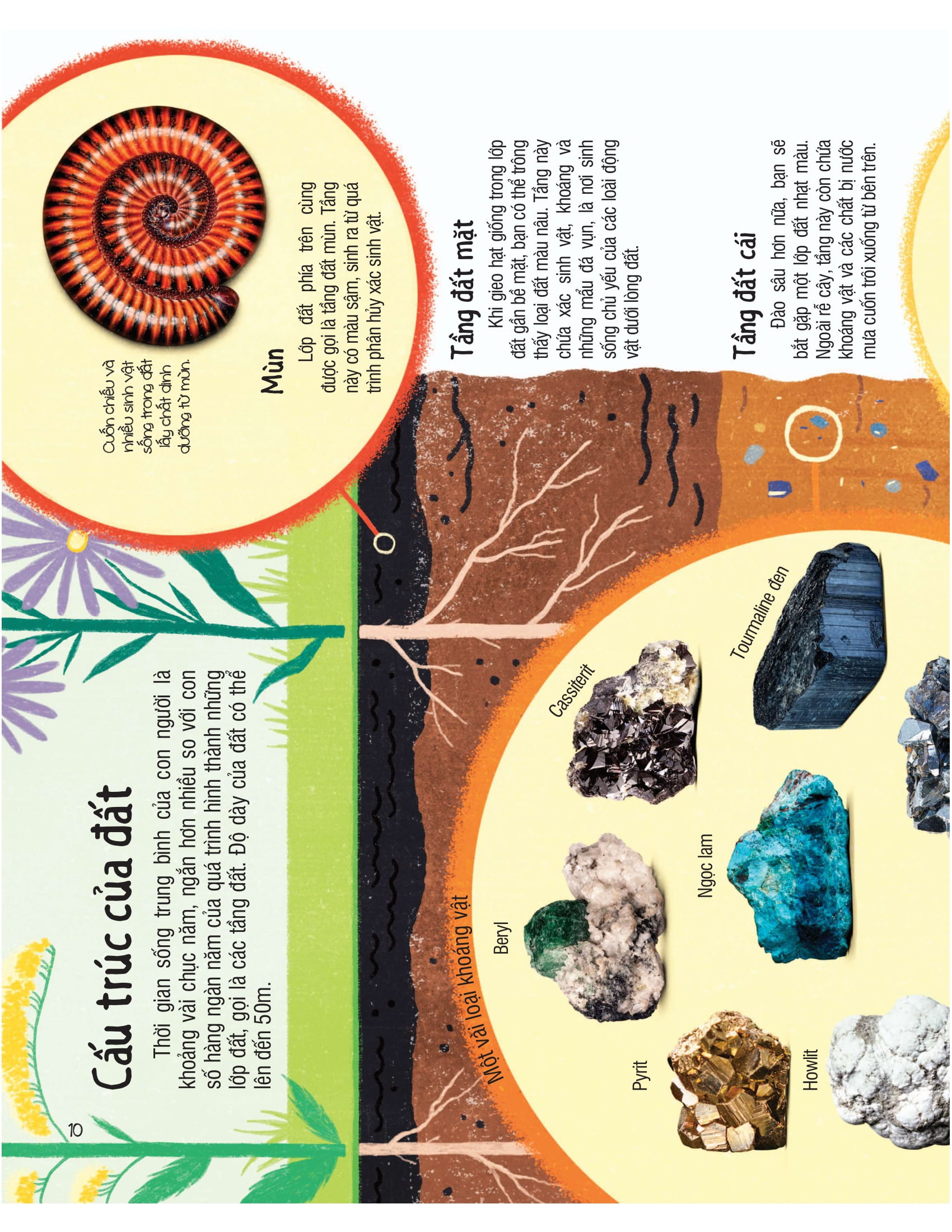 under your feet - dưới đôi bàn chân bạn - đất, cát và ti tỉ thứ dưới lòng đất - Ảnh 11