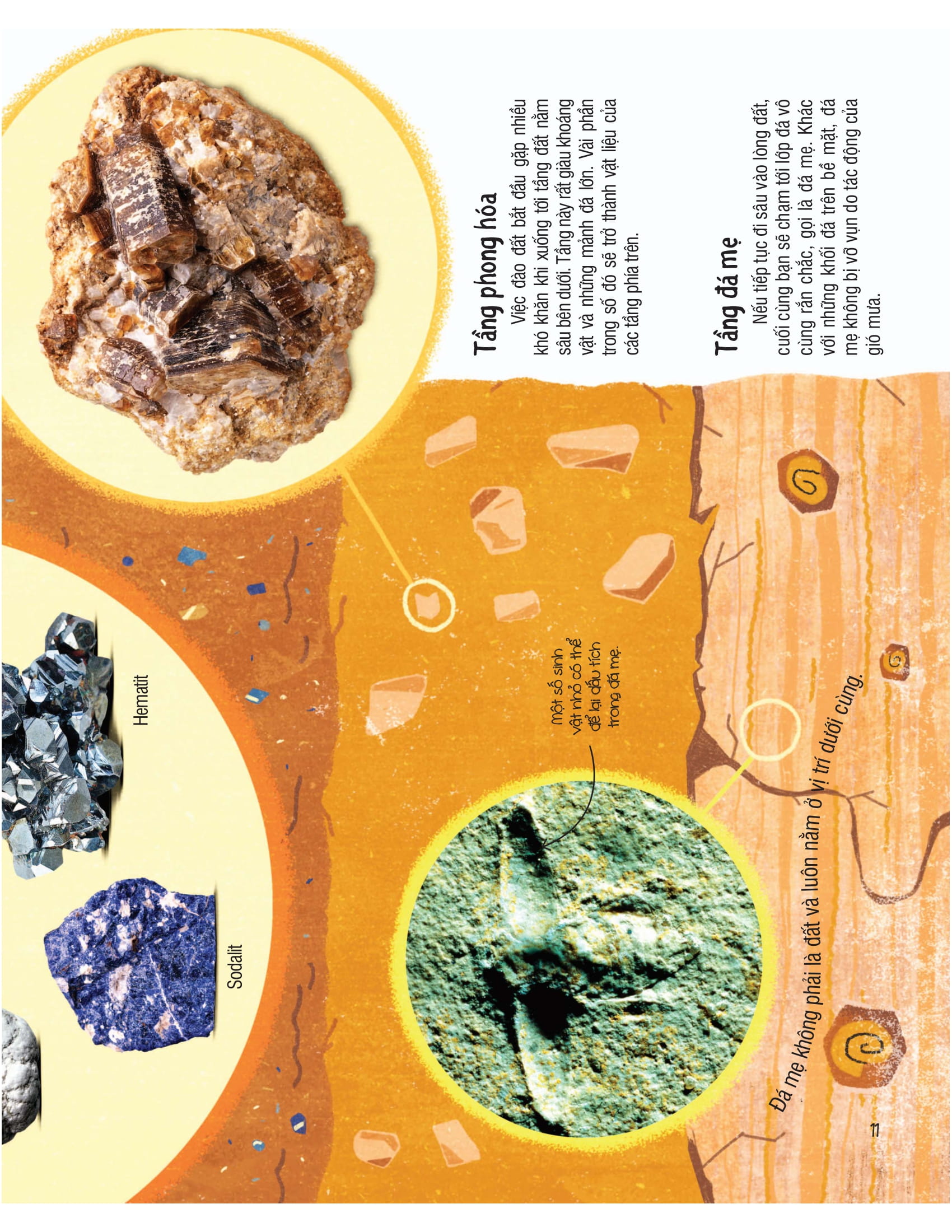 under your feet - dưới đôi bàn chân bạn - đất, cát và ti tỉ thứ dưới lòng đất - Ảnh 12