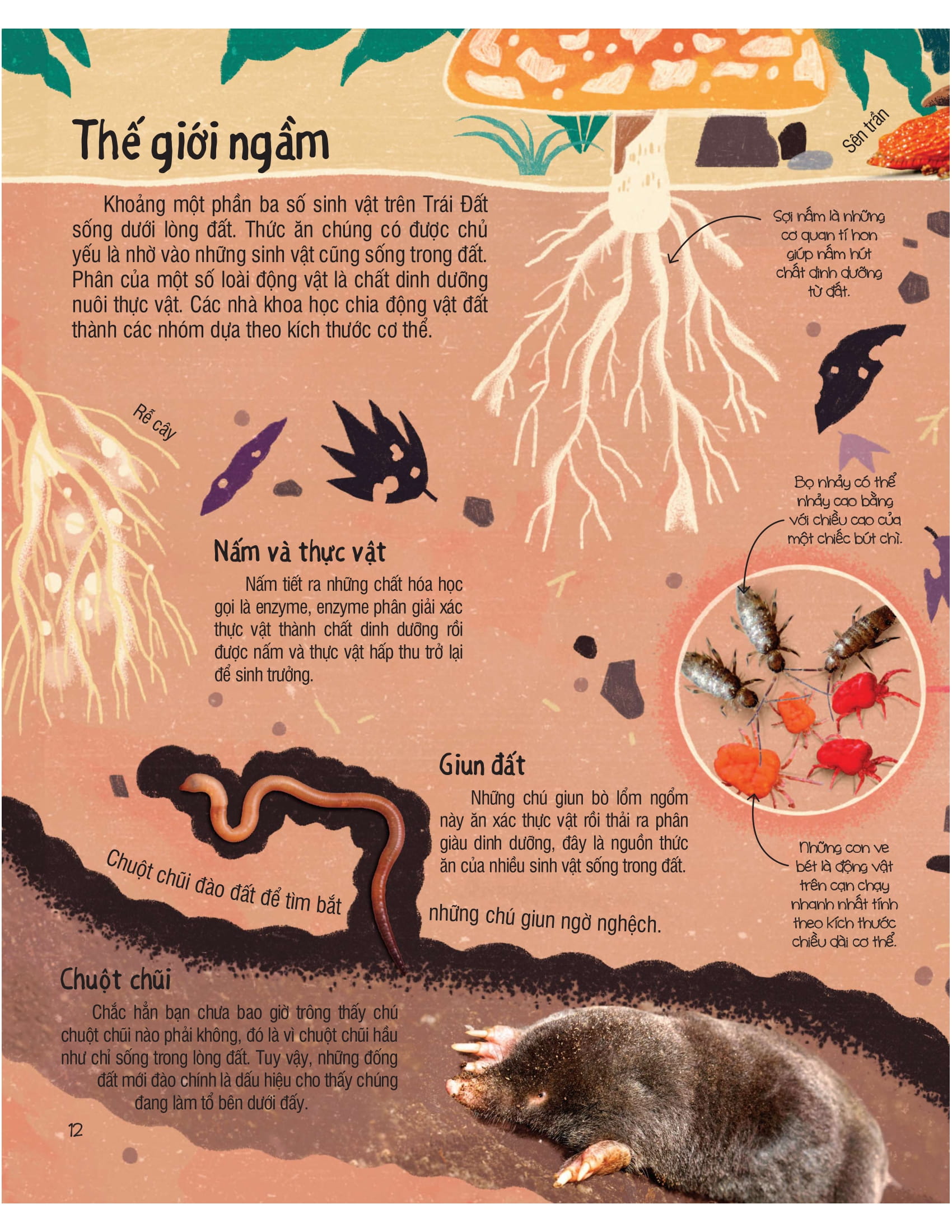 under your feet - dưới đôi bàn chân bạn - đất, cát và ti tỉ thứ dưới lòng đất - Ảnh 13