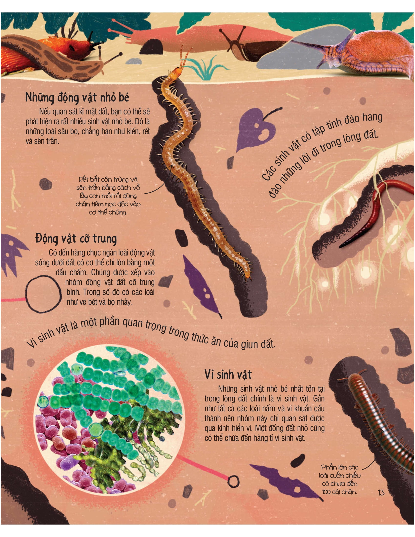 under your feet - dưới đôi bàn chân bạn - đất, cát và ti tỉ thứ dưới lòng đất - Ảnh 14