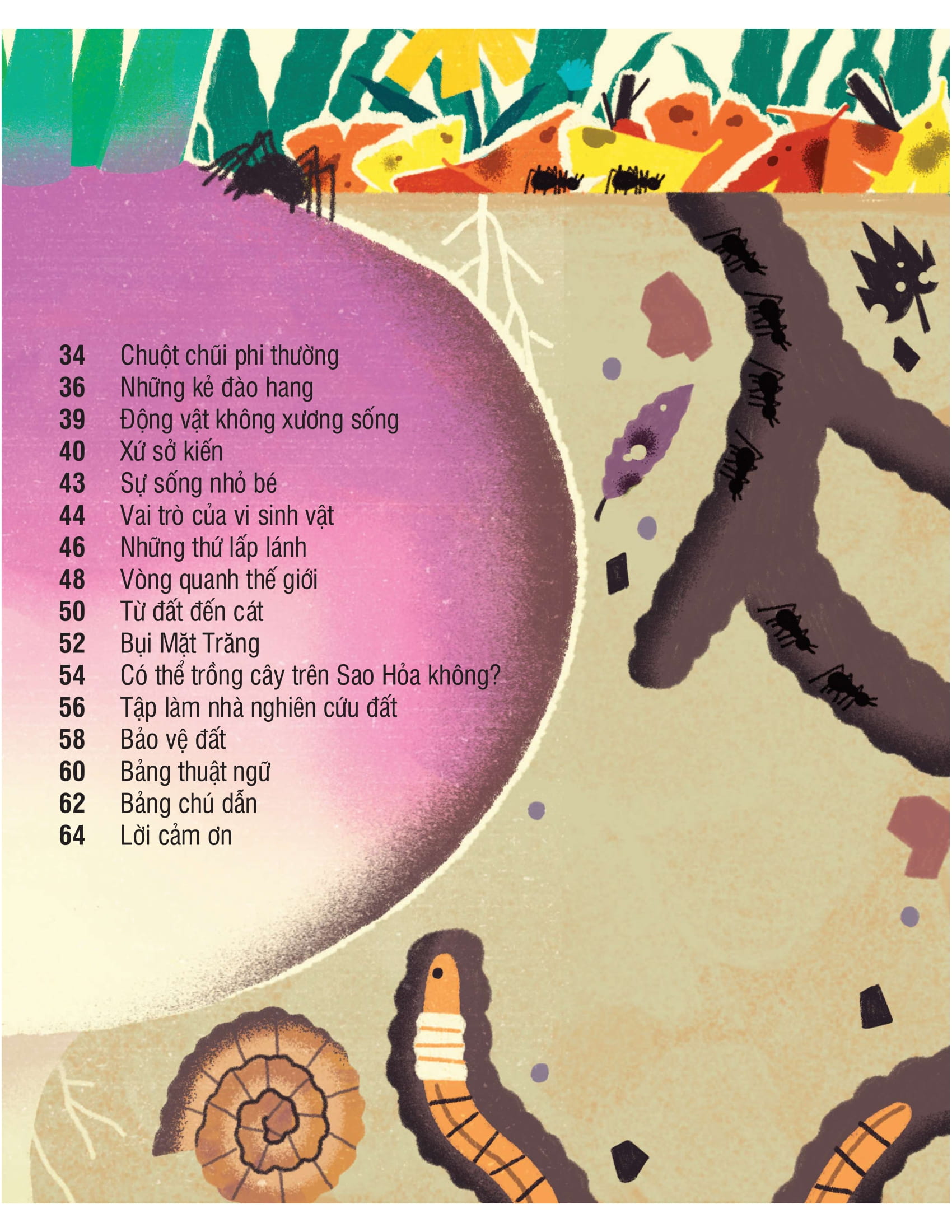 under your feet - dưới đôi bàn chân bạn - đất, cát và ti tỉ thứ dưới lòng đất - Ảnh 4