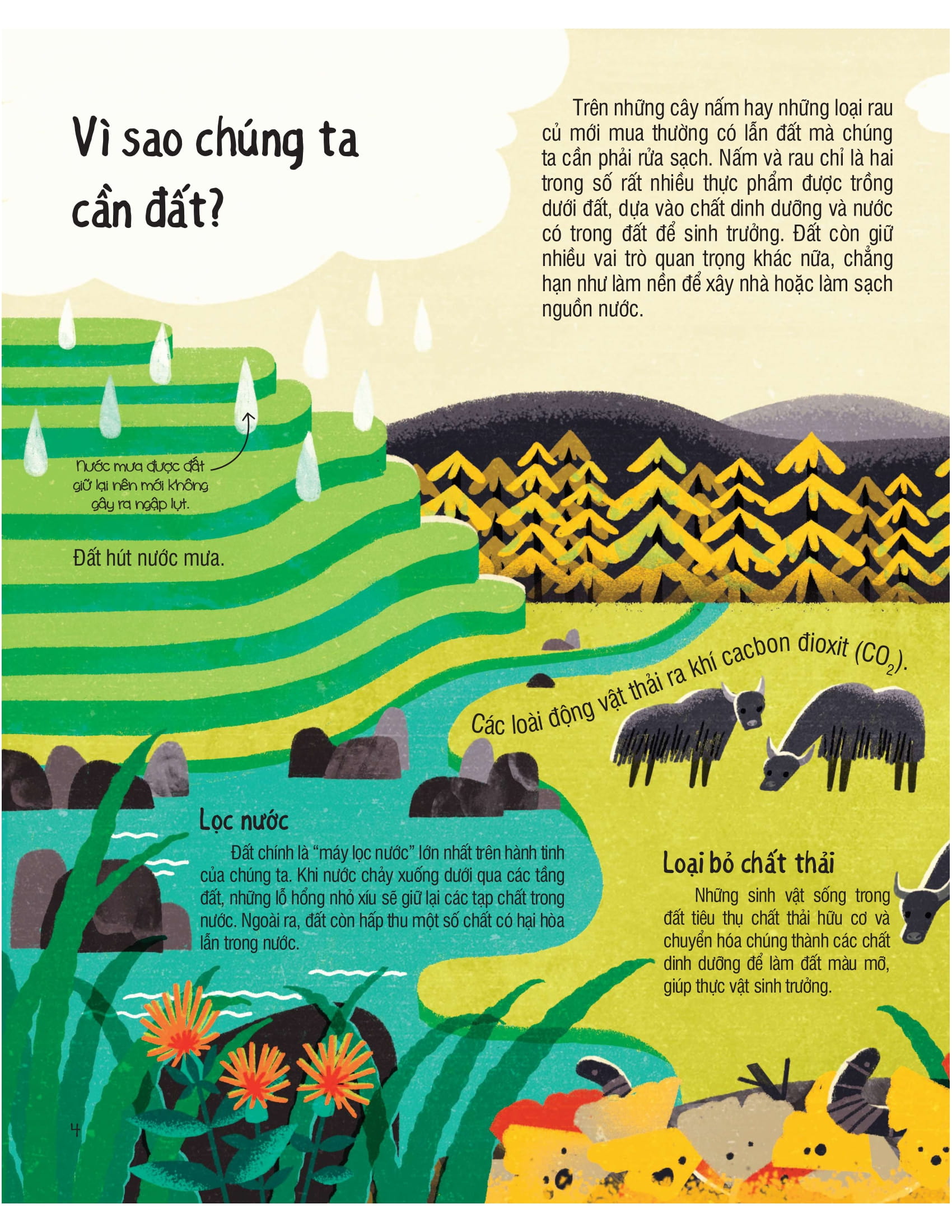 under your feet - dưới đôi bàn chân bạn - đất, cát và ti tỉ thứ dưới lòng đất - Ảnh 5