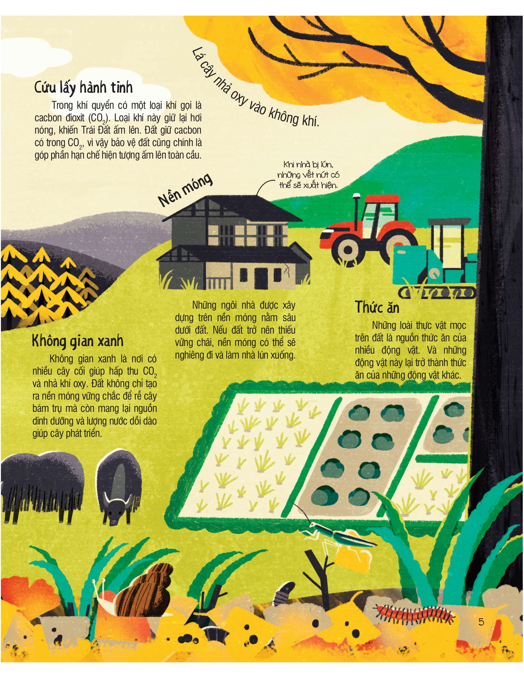 under your feet - dưới đôi bàn chân bạn - đất, cát và ti tỉ thứ dưới lòng đất - Ảnh 6