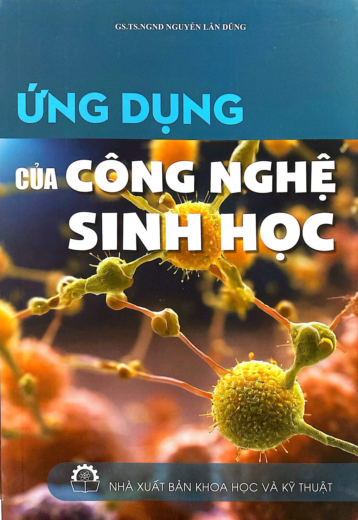 ứng dụng của công nghệ sinh học - Ảnh 2
