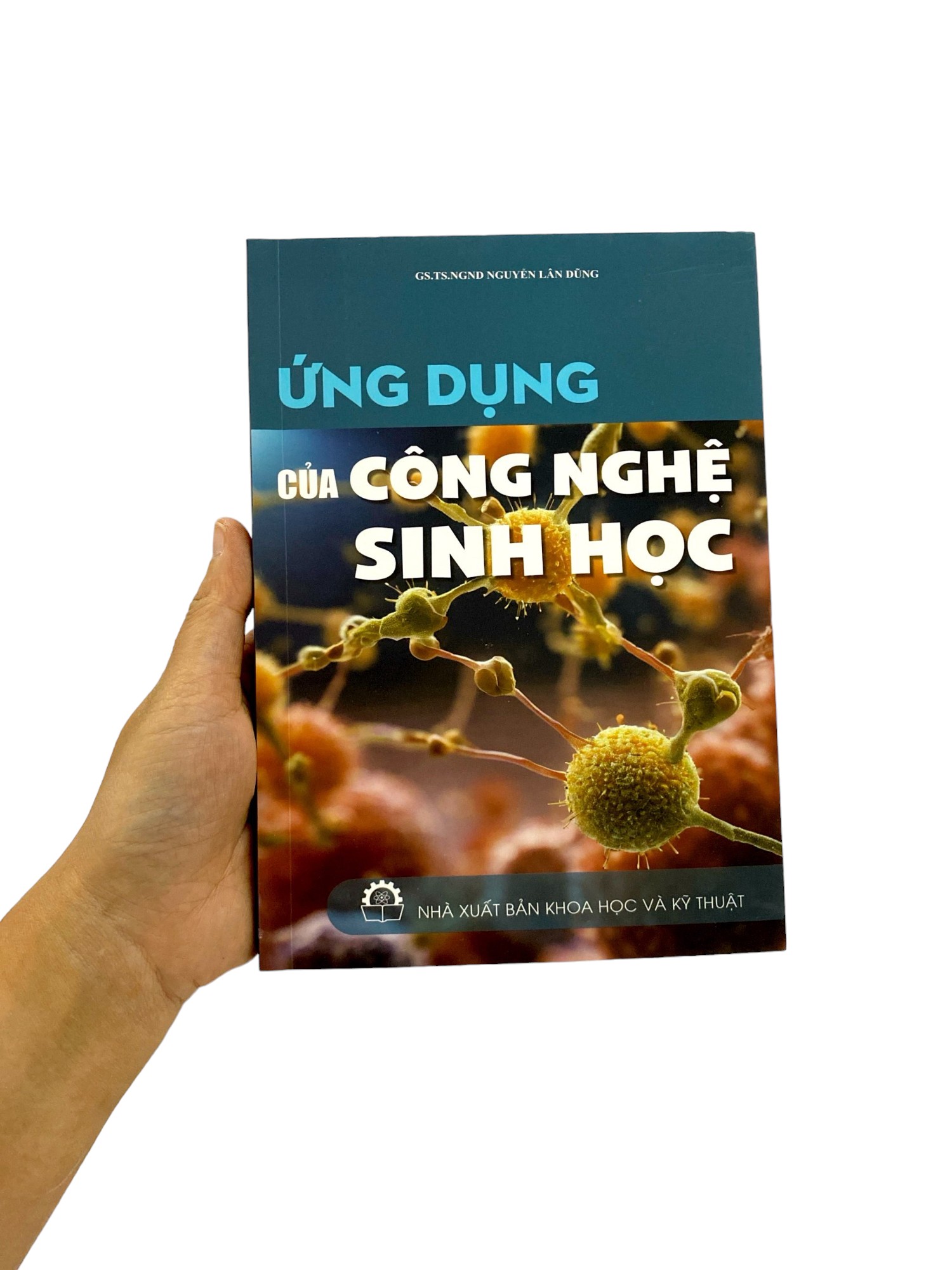 ứng dụng của công nghệ sinh học - Ảnh 9