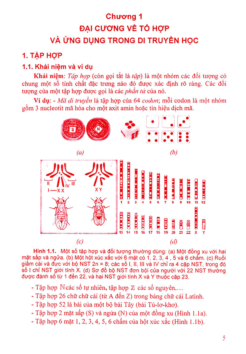 ứng dụng tổ hợp và xác suất trong giải bài tập di truyền - Ảnh 5